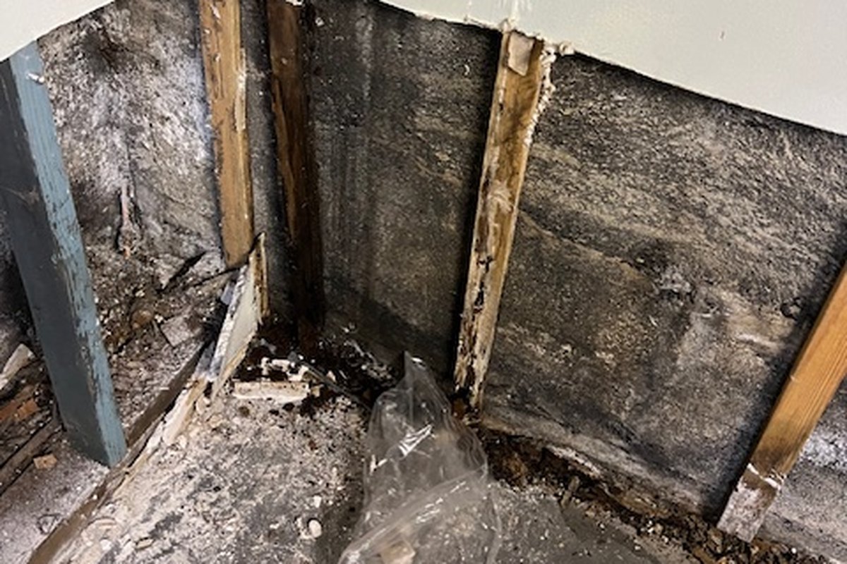 Mould growth and moisture damage inside a wall