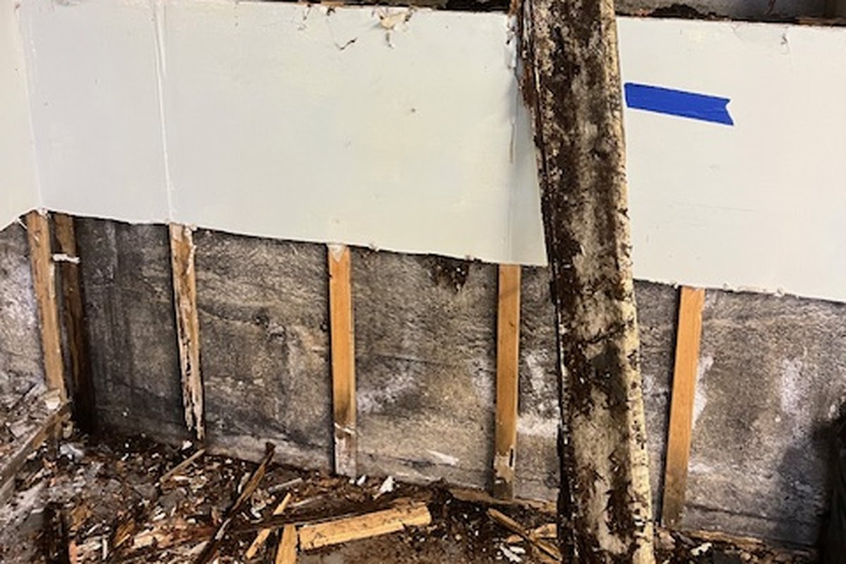 Mould damage inside a wall cavity