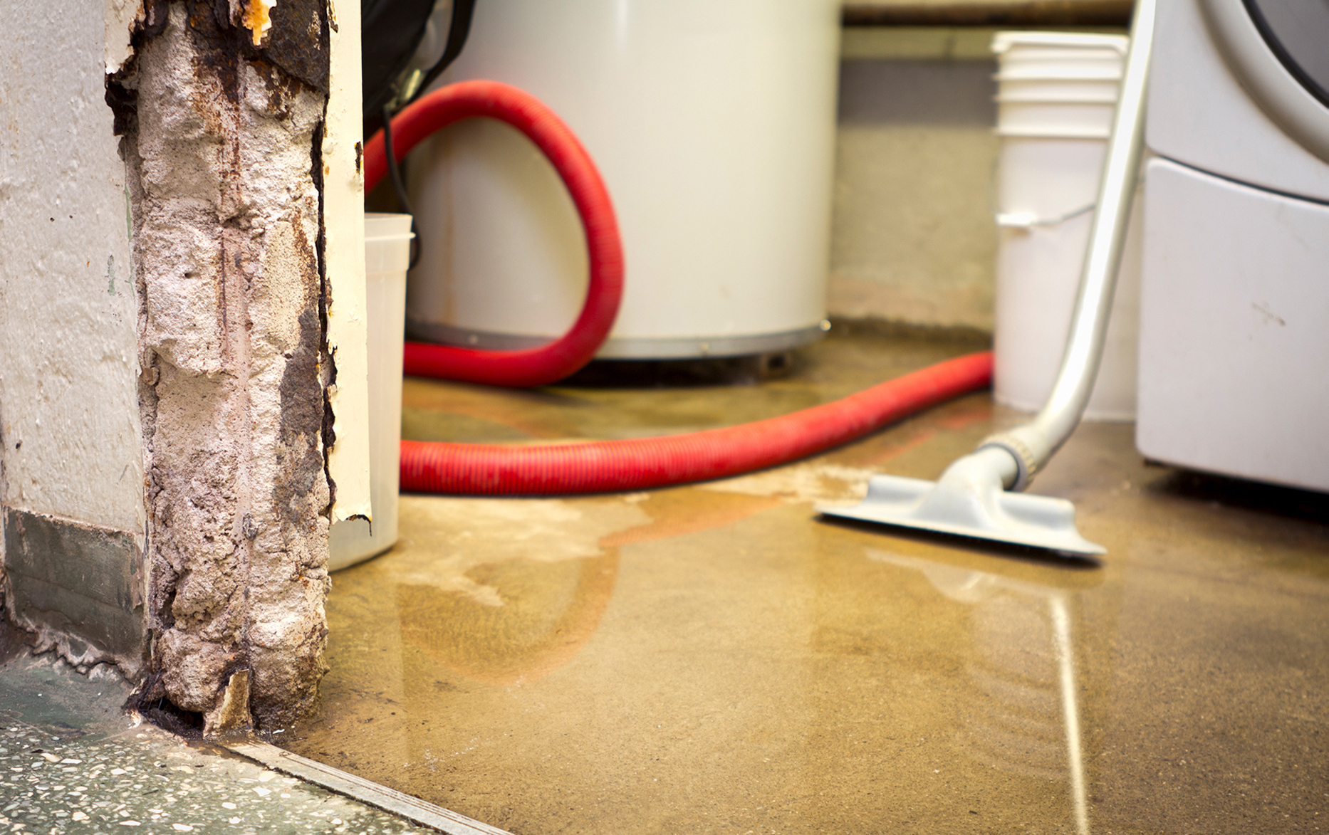 Professional restoration and drying equipment