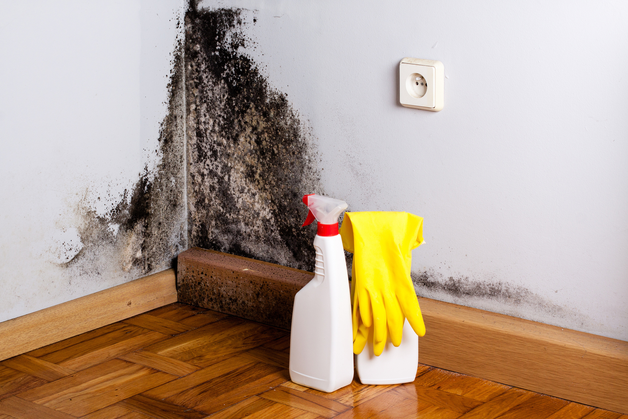 Air filtration and drying equipment used during mould remediation
