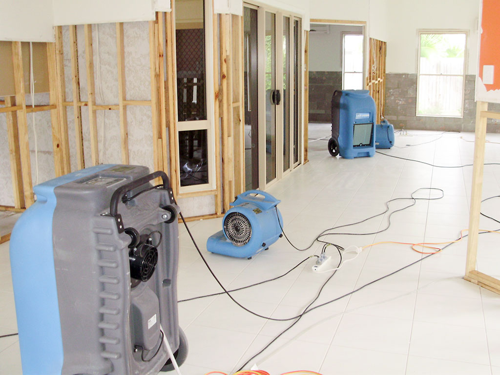 Commercial dehumidifiers and air movers for structural drying
