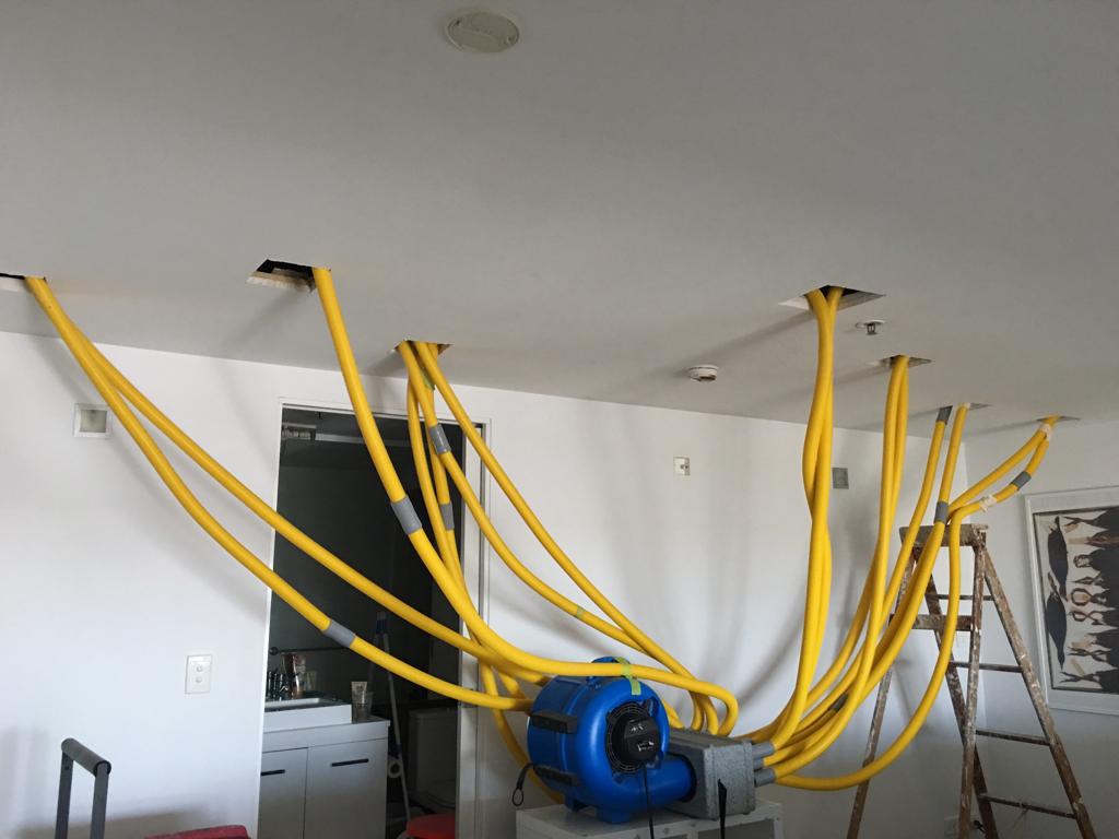 Technicians monitoring moisture during structural drying